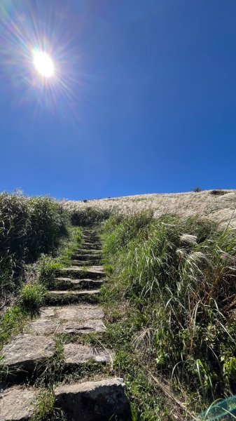 淡水興福寮古道2923337