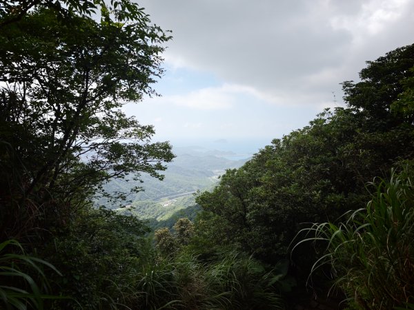 [淡蘭古道] 2026_0531 北路第四段_金字碑古道(下)-金字碑3071086