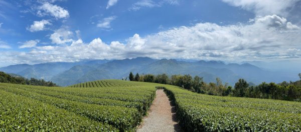 1110317阿拔泉山-觀音石山-大巃頂-獨立山O繞1645910