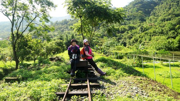 【淡蘭中路】翻山越嶺的茶商之道981236