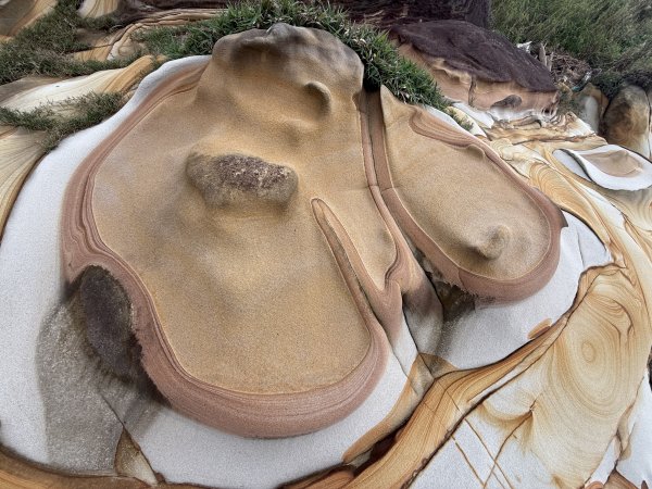 龜仙岩與玫瑰岩2680882