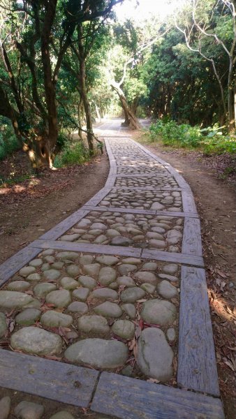 桃源里森林步道和龍鳳谷步道1591586