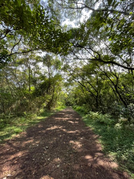 台北｜北投．士林 臺北大縱走第一段1487844