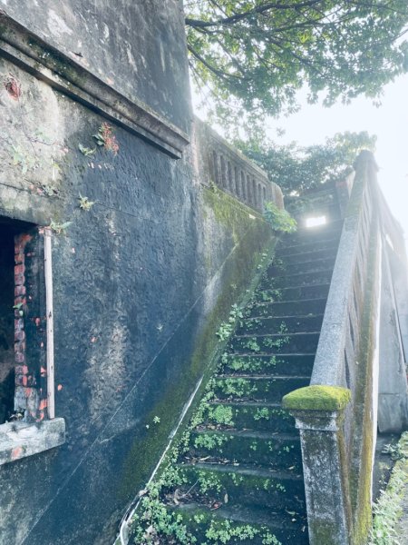 基隆尋找7隻傘人家族2712726