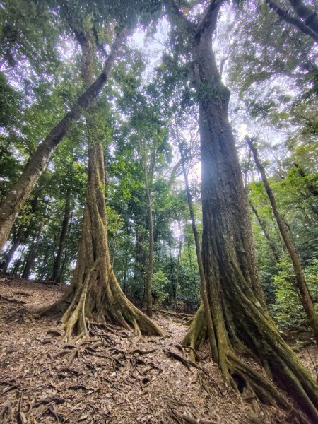 長壽山、肥崠山、醜崠山、大崠山、大崠山經建版2931559