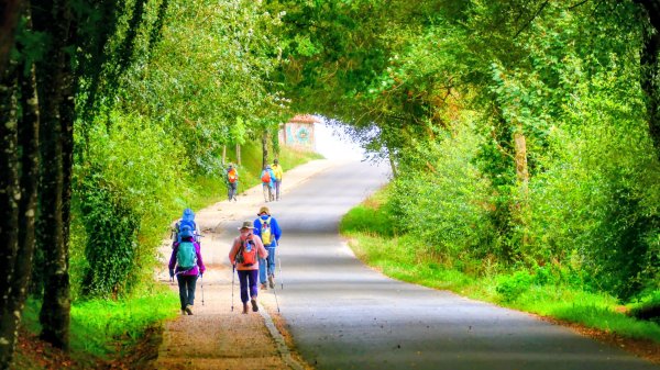 西班牙朝聖法國之路115KM, Day33125762