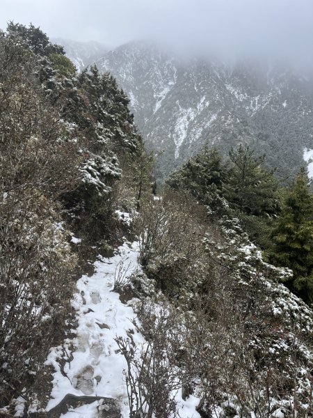 八大秀雪攀初體驗，銀白色中央山脈2413085
