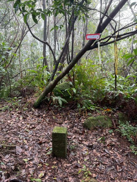新北 汐止 柯子林橋-柯子林天然泳池-友蚋山南峰-友蚋山-新山-夢湖-柯子林橋2988387