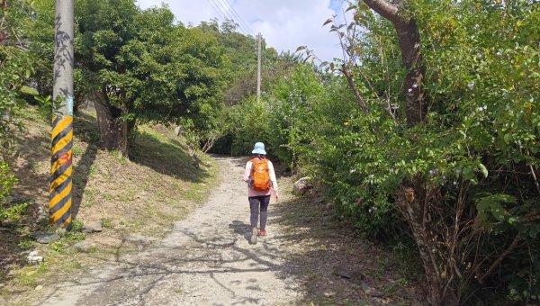 (姨婆趴趴走)第三十二集:礁溪跑馬古道，鵲子山環狀縱走2362267