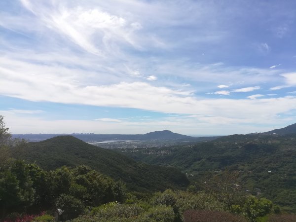 翠山步道->長壽坡->大崙頭山走一圈