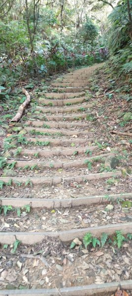 新寮休閒步道2949207