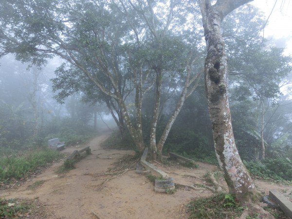 桃園石門山237186