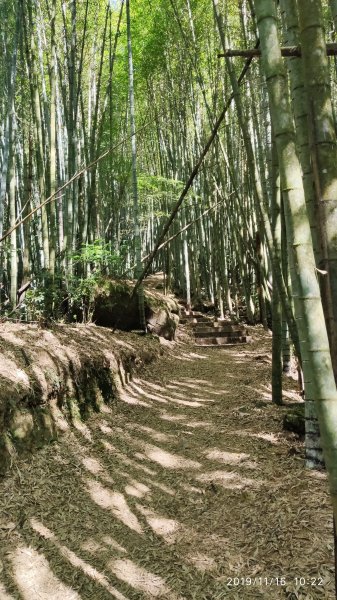 頂石棹步道群半日健行772670