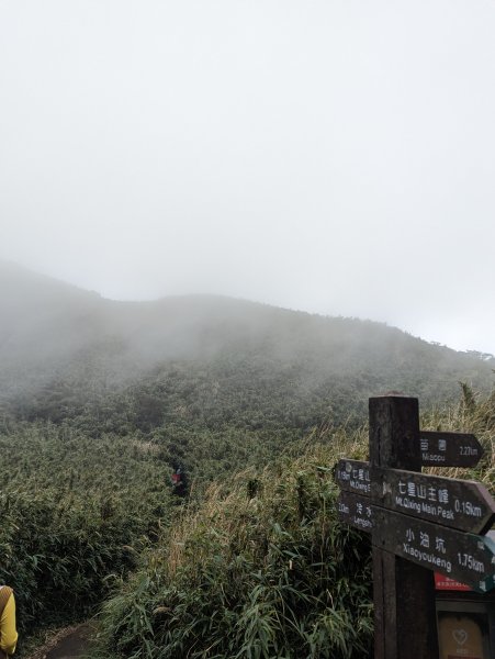 2023-11-19 臺北大縱走第三段2793052