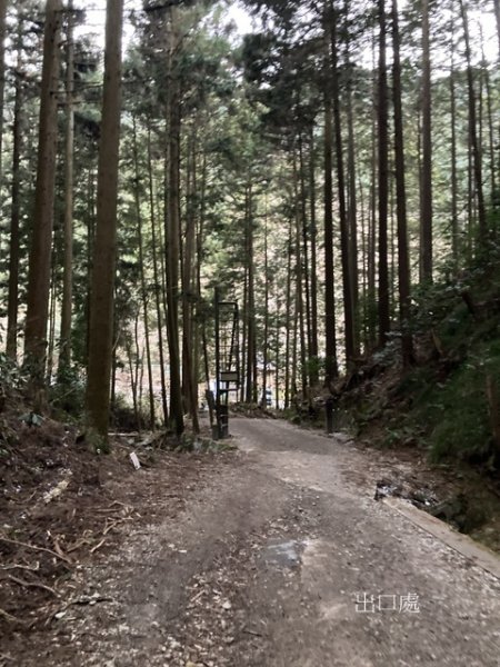 5 大阪金剛山全記錄2711138