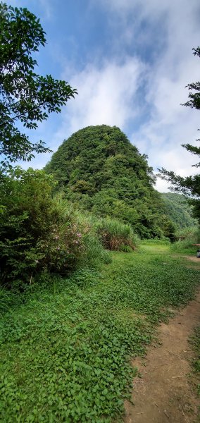 2020-06-14獅仔頭山登山步道1386772