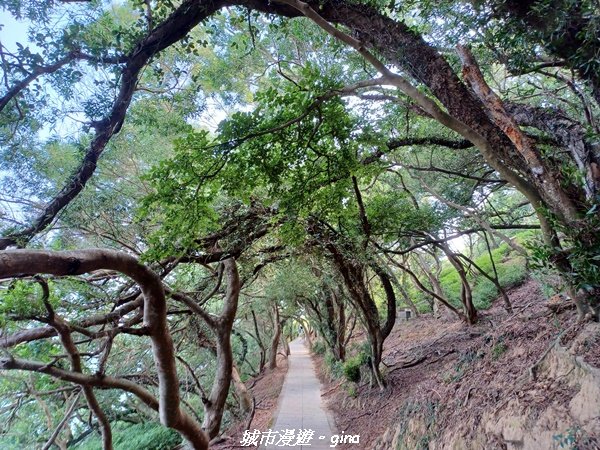 【馬祖大坵】馬祖的日本小奈良。 萌翻的梅花鹿。 大坵環島生態步道1852697
