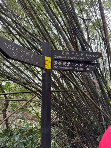 紫微聖母環山步道走六寮崙山與西南峰2989251