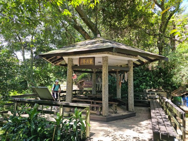 (天上山系)望月亭桐花-2025微笑山線大縱走尋寶集章任務2870357