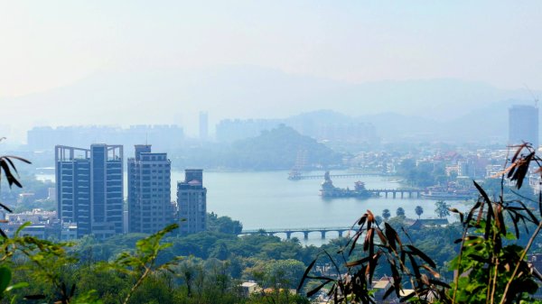 左營半屏山2954321