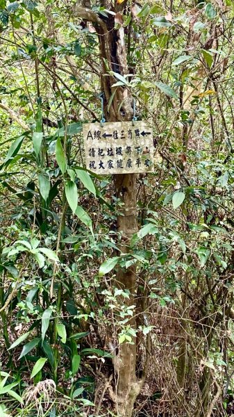 棚集山(小百岳#78)2800385