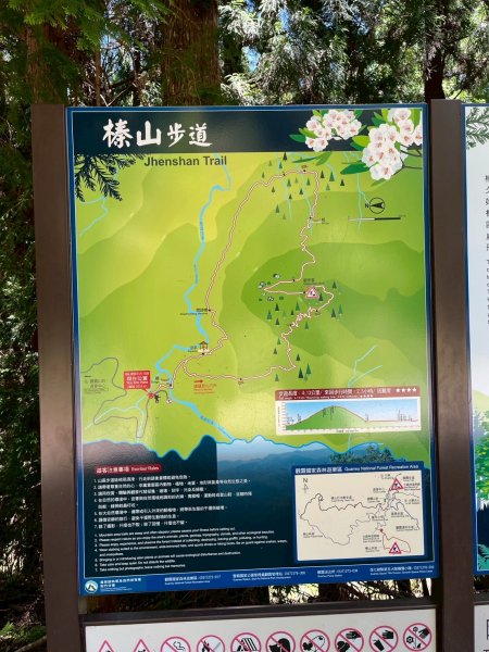 新竹 五峰 觀霧國家森林遊樂區 大鹿林道西線 榛山步道2811378