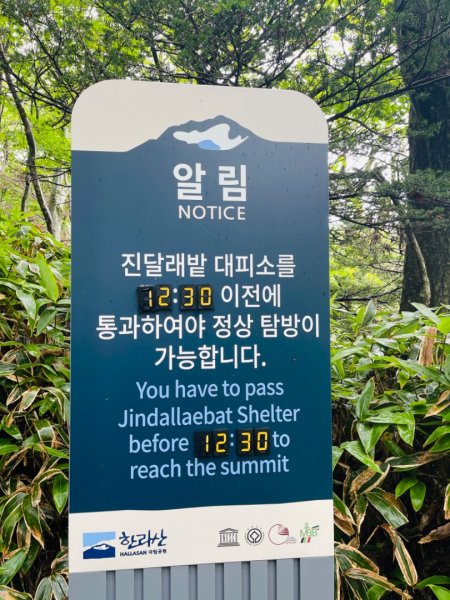 1140811 KR 漢拏山杜鵑花田避難所-紗羅岳觀景臺2860192