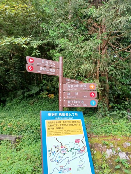 【桃園復興】台灣百大必訪步道。 東眼山森林遊樂區-東眼山自導式步道2835953