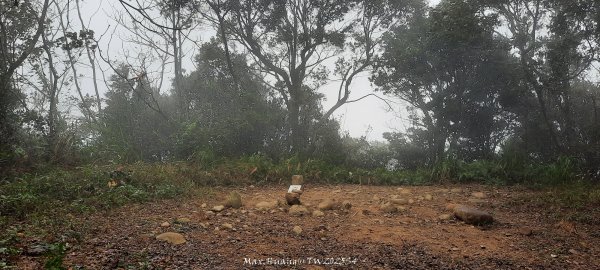 《苗栗》霧雨寒流｜三義三角山步道202512252969235