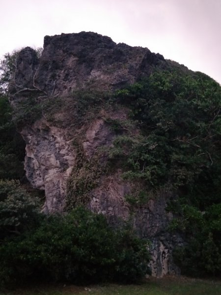 社頂生態保護區1343664