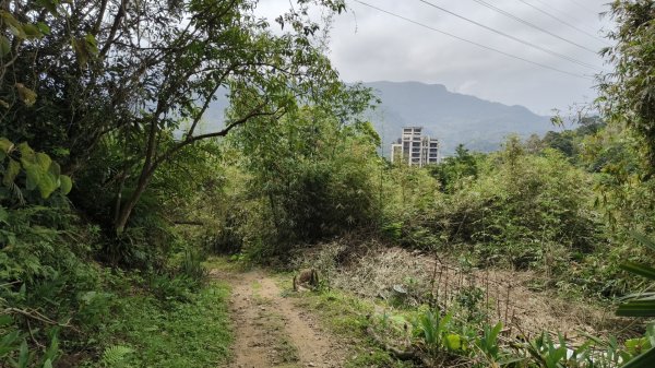 新北深坑，新翠谷登山步道3029699