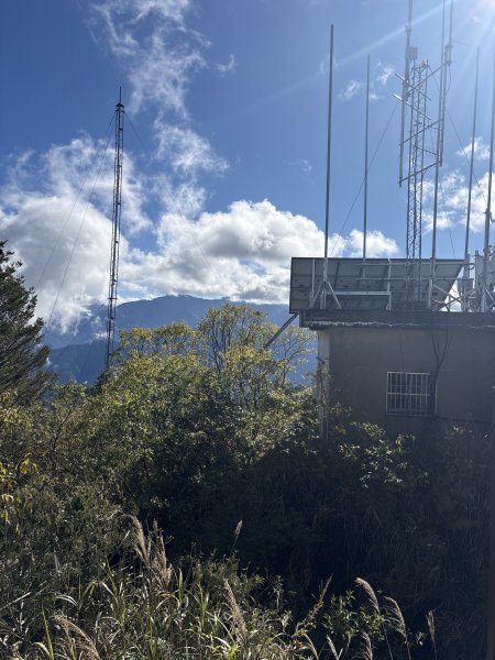 20251225塔山步道(大塔山)2970435