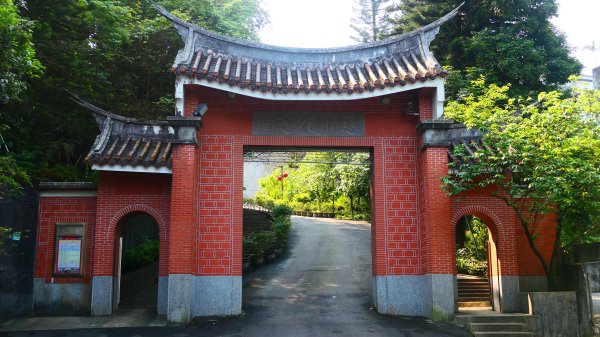 燈秤花3033206