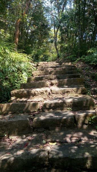 2021/03/26台北大縱走第五段（劍潭~碧山岩）1323808