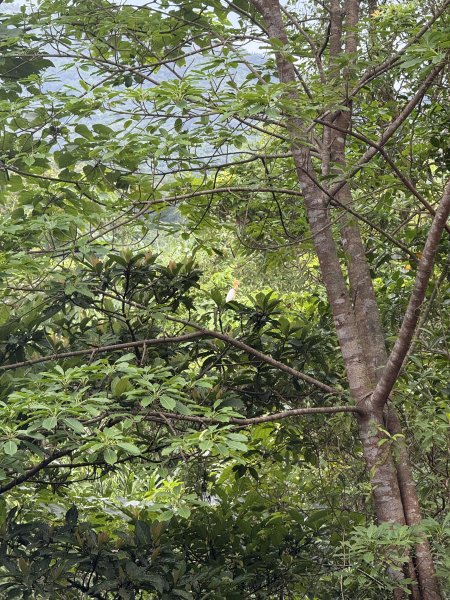 淡蘭北路第一段：瑞芳車站至慶雲宮2876382