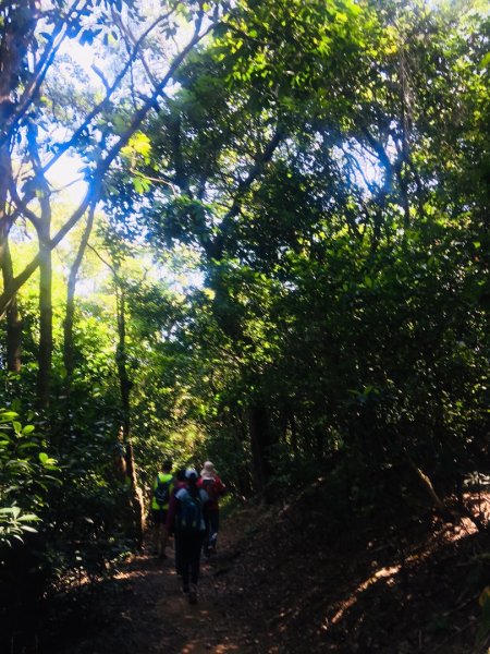 軍艦岩吃吃喝喝爬山趣632958