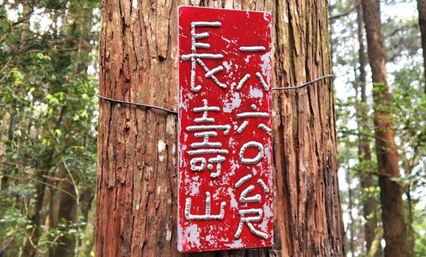 【中級山縱走】最美中級山，鳶嘴西稜縱走（鳶嘴山，醜崠山，長壽山）2741373
