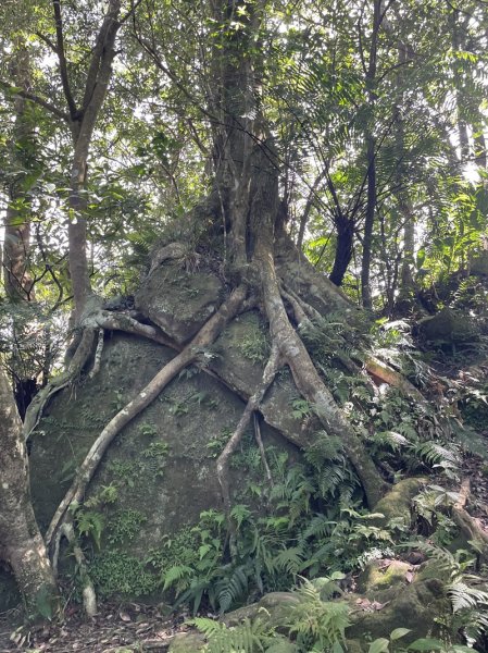 【二格山系】筆架連峰2881259