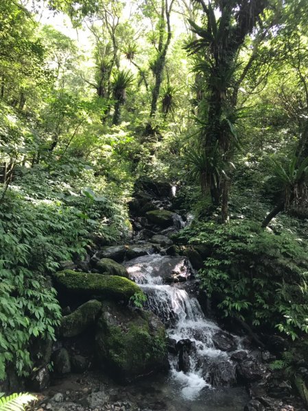 聖母步道抹茶山723251