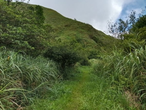 瑞芳區找尋半屏大瀑布未果2880967