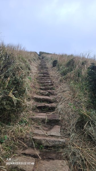 20024-1231臺北大縱走第二段：大屯主西南二子坪O型2680142