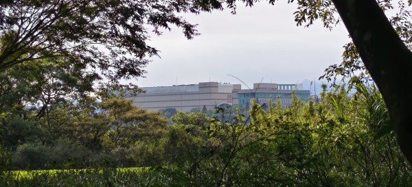 2025/08/17_三和晨光+石崎+背西步道O型2861573