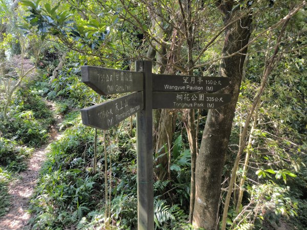 20250830天上山、旺旺嶺、太極嶺2874098