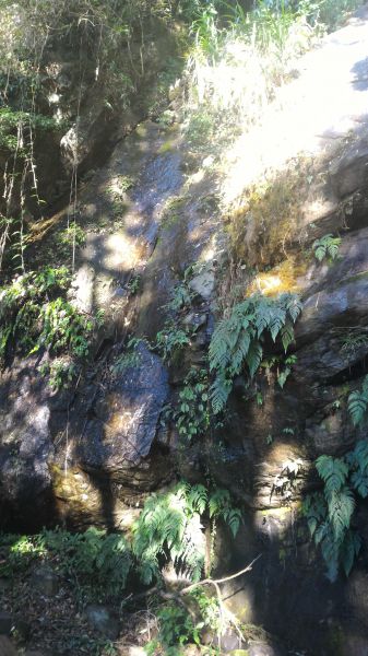 嘉南雲峰、石壁山101614