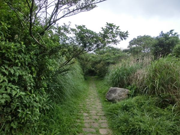 清天宮．面天坪．大屯坪．二子坪94405