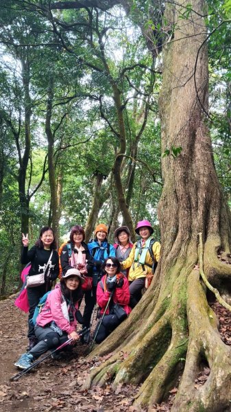四訪苗栗的花果山-小百岳#037馬那邦山、雪霸國家公園管理處【小百岳集起來、苗栗-臺灣百大必訪步道】2394231