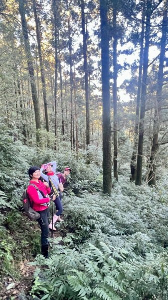 20260104源茂山.源茂山西峰.和尚髻山O走+親水觀魚步道2977785