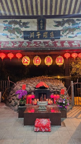 20250209橫沙笛鳶嘴醜肥大西稜O型2709368