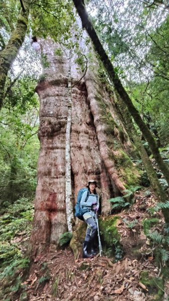 干卓萬群峰五天1141001~052906196