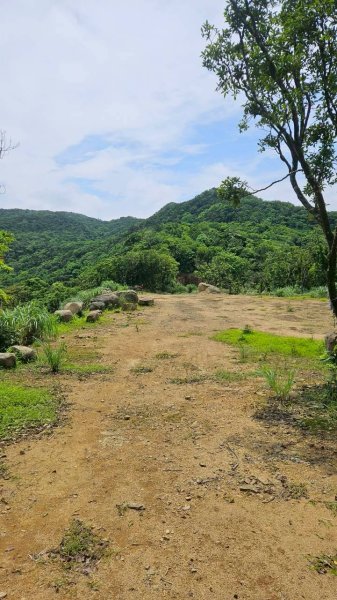20260503鶯石尖-七兄弟山-窖寮山3049225